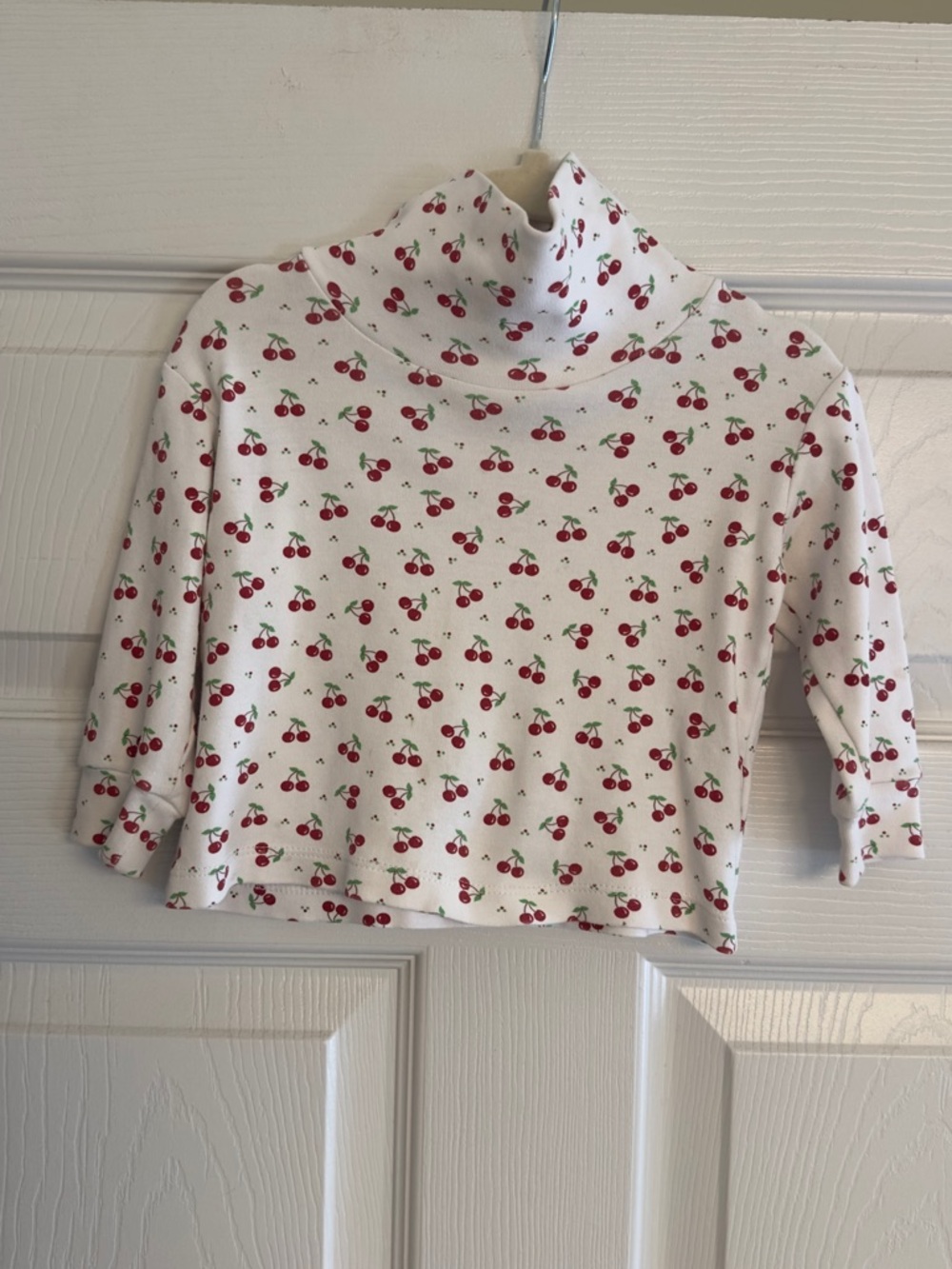 Little English Cherry Print Turtleneck

Size 18 months